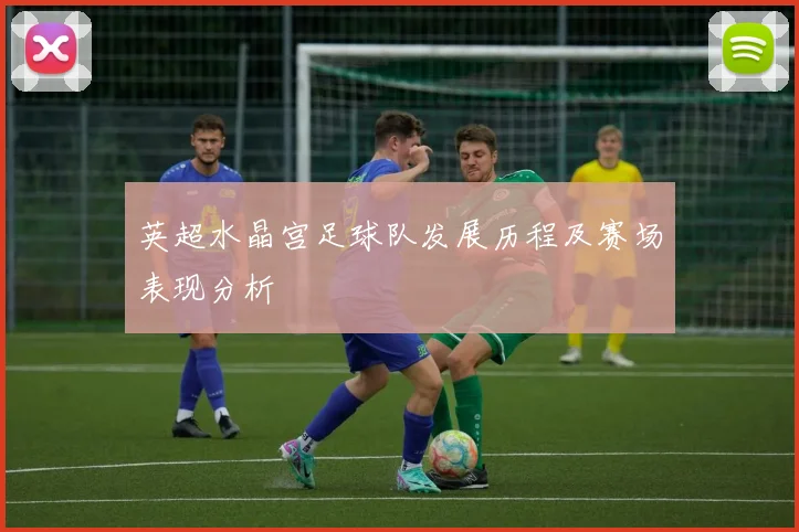 英超水晶宫足球队发展历程及赛场表现分析